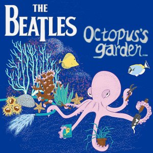 Beatles Midi Mp3 Lyrics Octopus S Garden